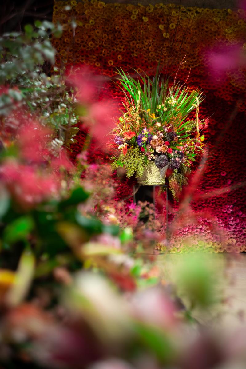 Bloemeninstallatie in Alte Pinakothek