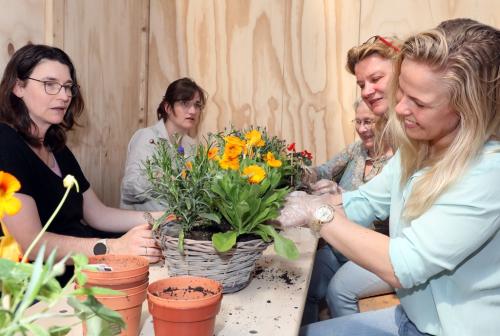 Mooiwatplantendoen workshop Libelle Margriet Zomerweek 2024