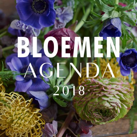 bbh_bloemenagenda_overzichtsbeeld18_nl_no_logo_jpg