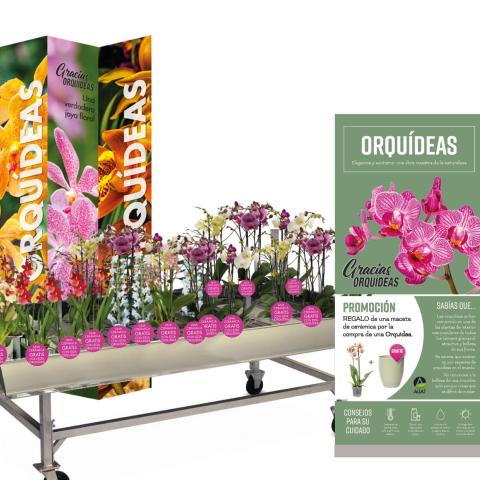 Gracias Plantas: Second shopper activation with ALIAT in Spain